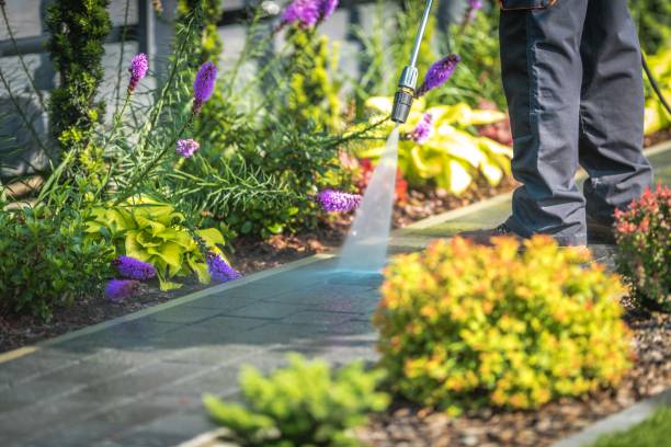 Best Dumpster Area Cleaning  in Laureldale, PA