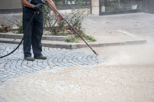 Best Roof Washing  in Laureldale, PA